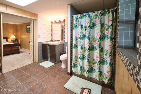 Tiny photo for 817 Lakewood Drive, Jefferson City, TN 37760 (MLS # 1343128)