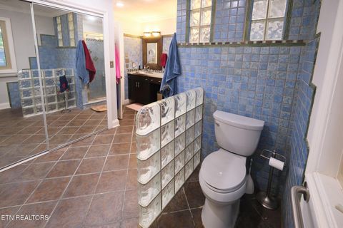 Tiny photo for 817 Lakewood Drive, Jefferson City, TN 37760 (MLS # 1343128)