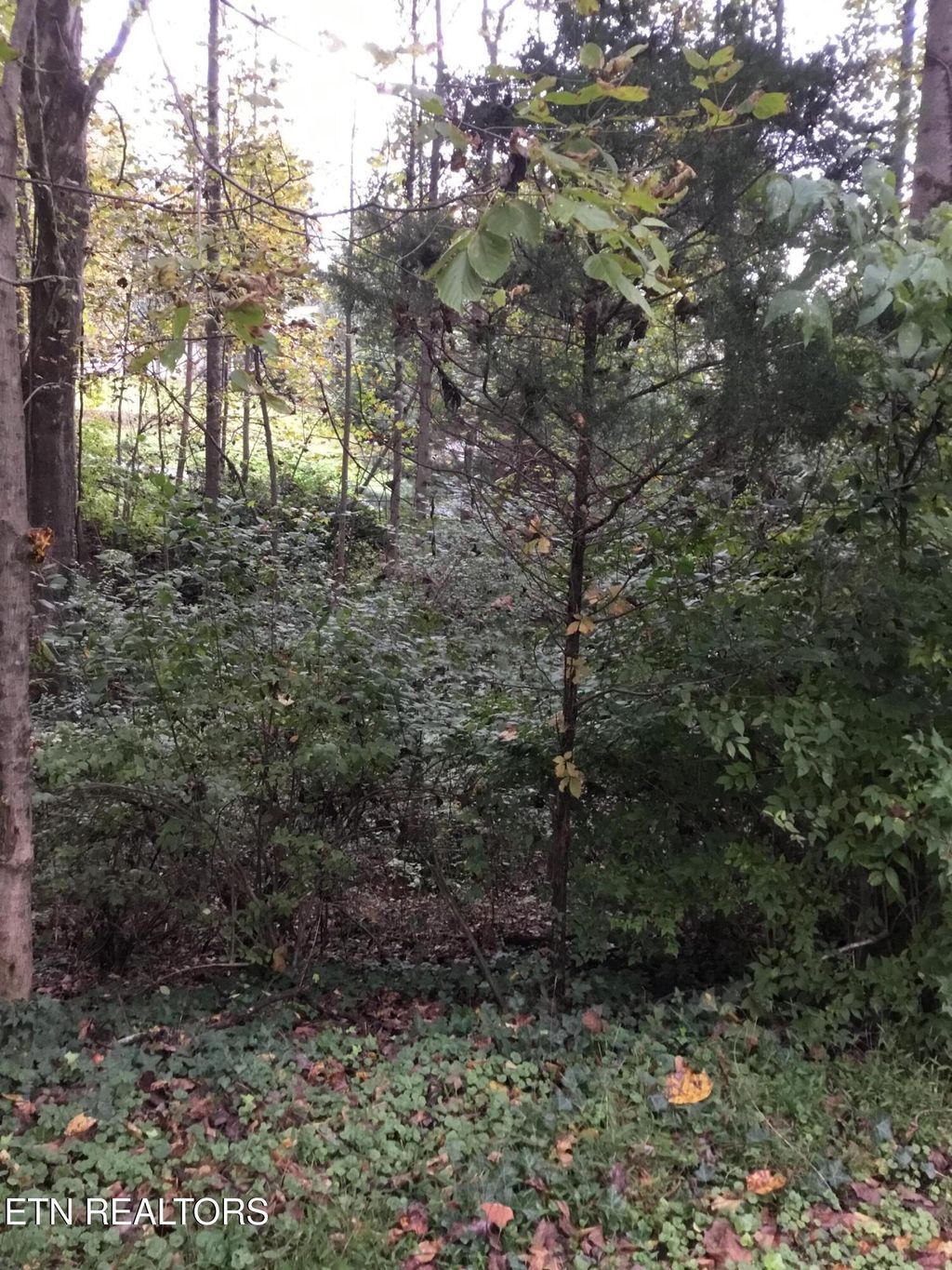 Photo of 0 Timbercrest Drive, Clinton, TN 37716 (MLS # 1314718)