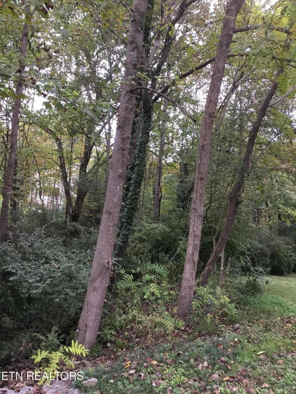 Photo of 0 Timbercrest Drive, Clinton, TN 37716 (MLS # 1314718)