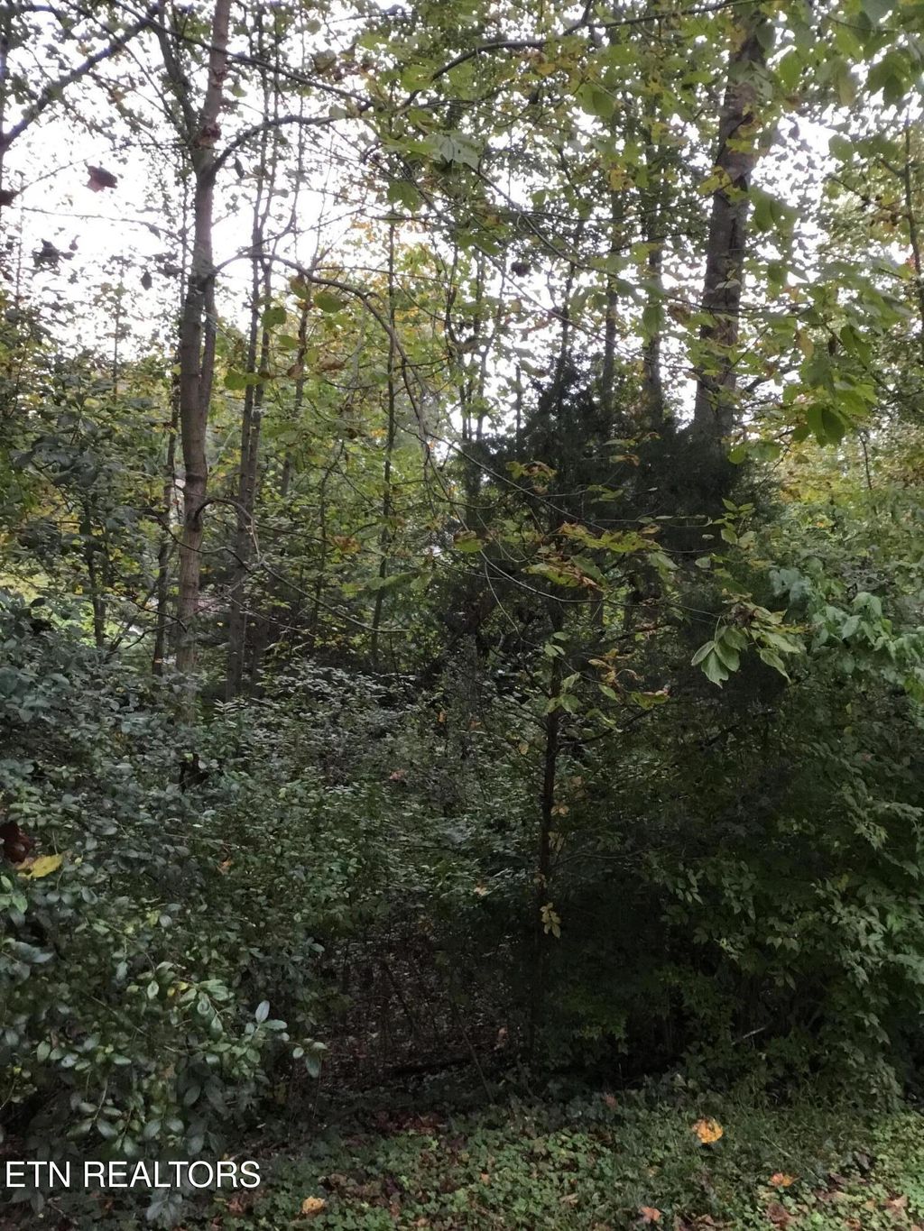 Photo of 0 Timbercrest Drive, Clinton, TN 37716 (MLS # 1314718)