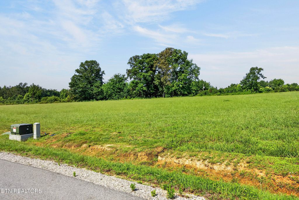 Photo of 1455 Anna Maria Lane, Cookeville, TN 38501 (MLS # 1349432)