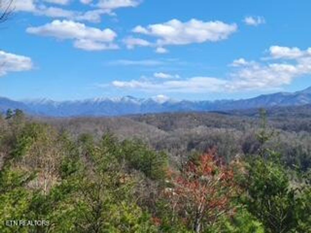 Photo of Red Bone Way, Sevierville, TN 37876 (MLS # 1315319)