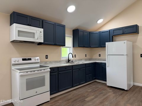 Tiny photo for 717 Cherry St, LaFollette, TN 37766 (MLS # 1334813)