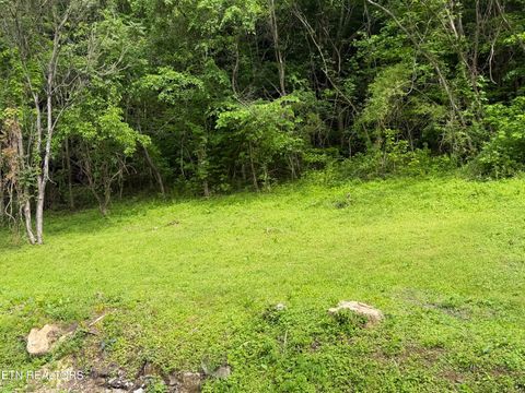 Tiny photo for 717 Cherry St, LaFollette, TN 37766 (MLS # 1334813)