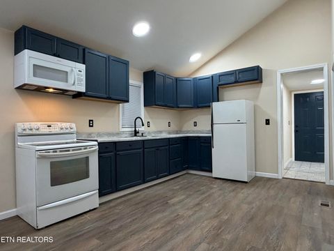 Tiny photo for 717 Cherry St, LaFollette, TN 37766 (MLS # 1334813)