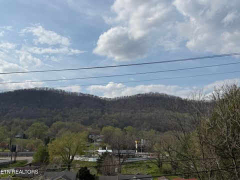 Tiny photo for 717 Cherry St, LaFollette, TN 37766 (MLS # 1334813)