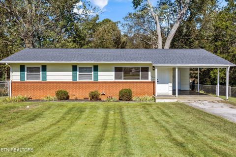 Photo of 4313 Walking Drive, Knoxville, TN 37912 (MLS # 1319607)