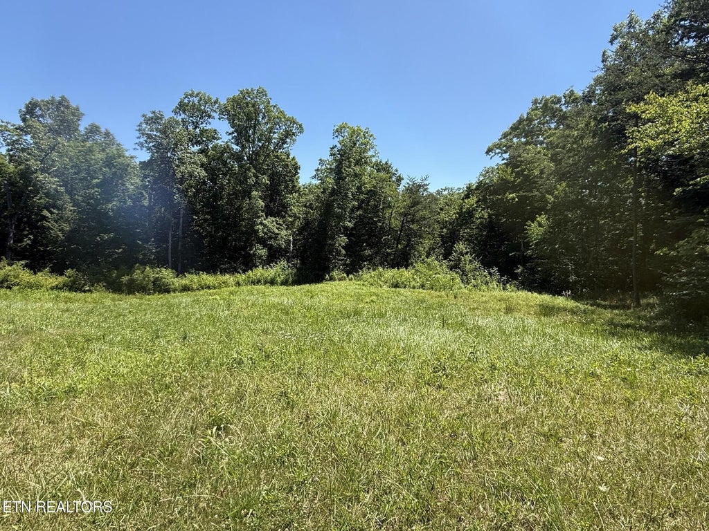 Photo of Riverview Drive - Lot 19 ST, Crossville, TN 38555 (MLS # 1344974)