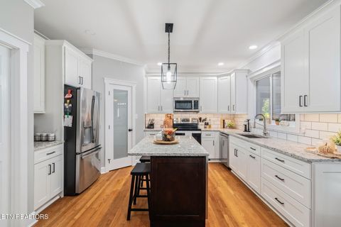 Tiny photo for 9414 Mill Sound Drive, Strawberry Plains, TN 37871 (MLS # 1317499)