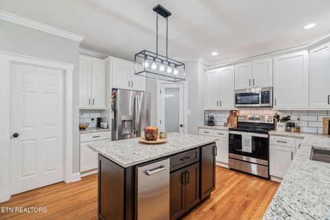 Tiny photo for 9414 Mill Sound Drive, Strawberry Plains, TN 37871 (MLS # 1317499)