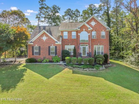Tiny photo for 9414 Mill Sound Drive, Strawberry Plains, TN 37871 (MLS # 1317499)