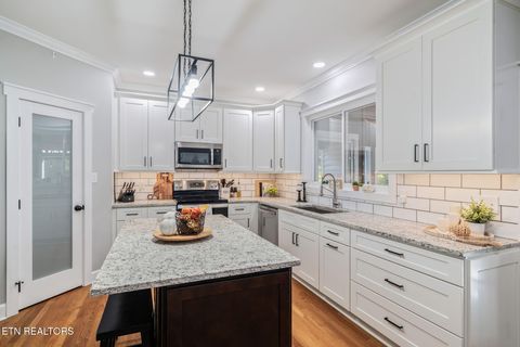 Tiny photo for 9414 Mill Sound Drive, Strawberry Plains, TN 37871 (MLS # 1317499)