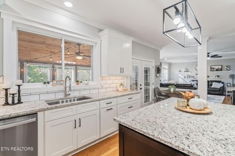 Tiny photo for 9414 Mill Sound Drive, Strawberry Plains, TN 37871 (MLS # 1317499)