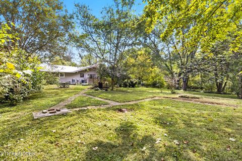 Tiny photo for 925 Kevin Rd, Knoxville, TN 37923 (MLS # 1318181)