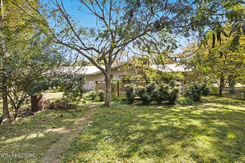 Tiny photo for 925 Kevin Rd, Knoxville, TN 37923 (MLS # 1318181)