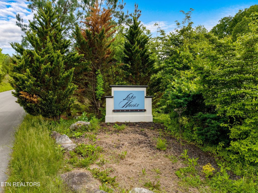 Photo of 11 Longshore Drive, Tazewell, TN 37879 (MLS # 1300494)