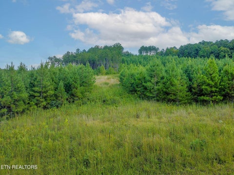 Photo of Lot #41 Three Point Rd, Madisonville, TN 37354 (MLS # 1354032)