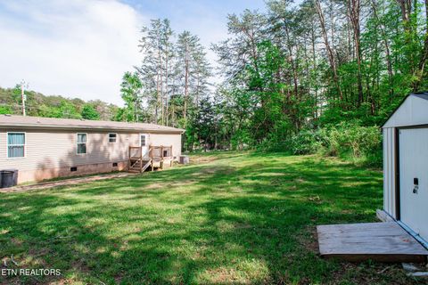 Tiny photo for 113 2nd St, Corryton, TN 37721 (MLS # 1338908)