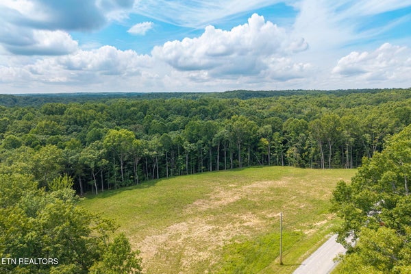 590 STONE CLIFF DR, JAMESTOWN, TN 38556 - Image 11b6cf63c085d2cf0aaf8feaa291f2eb/1194368235