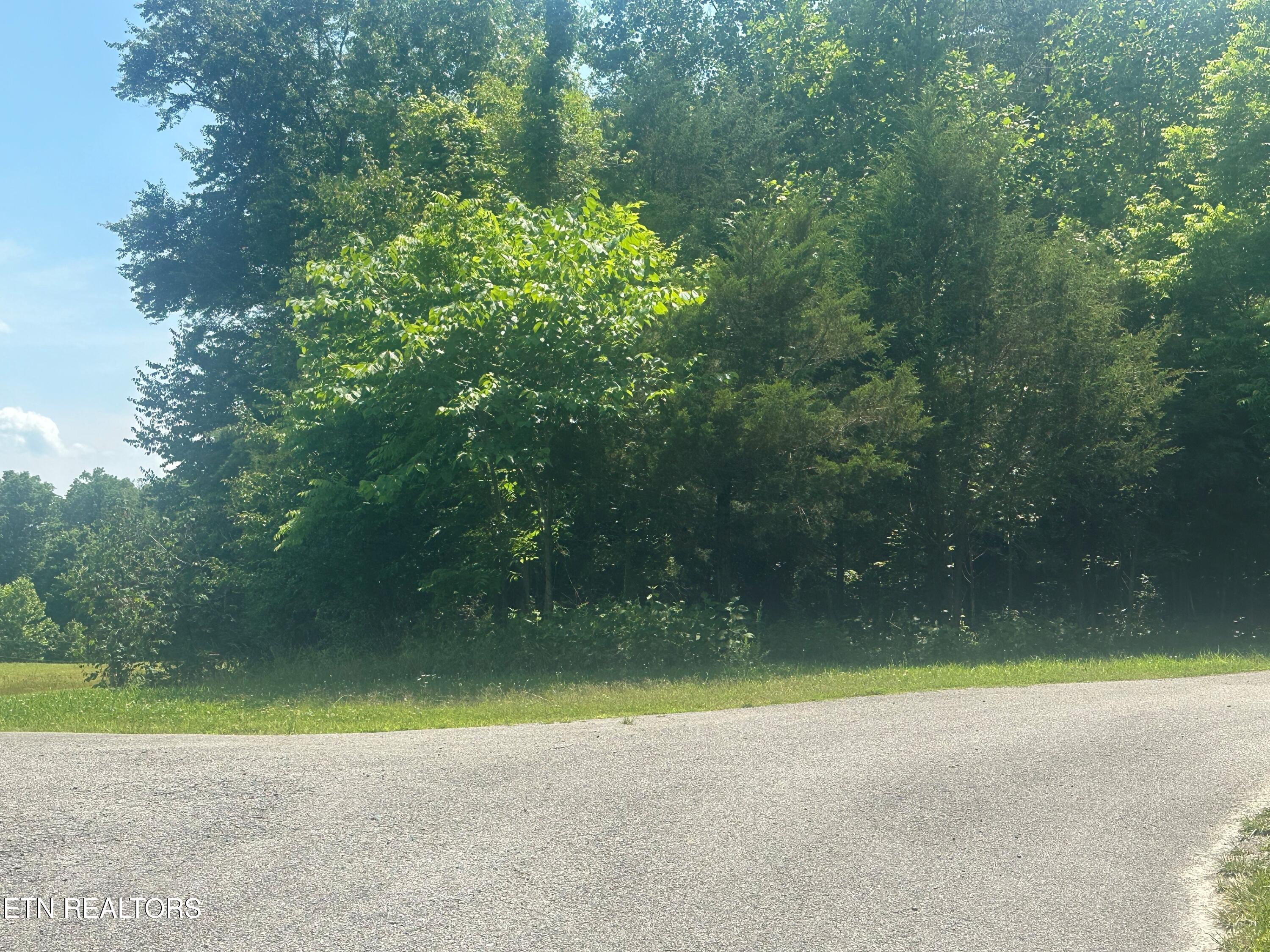 Spring Lane
