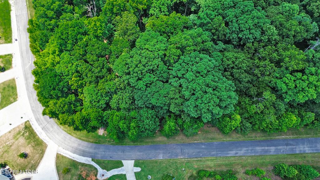 Photo of 216 Reuben Ridge Rd, Rockwood, TN 37854 (MLS # 1346779)