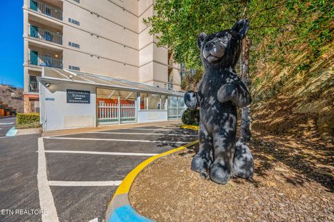 413 Baskins Creek Rd #406 Gatlinburg TN 37738