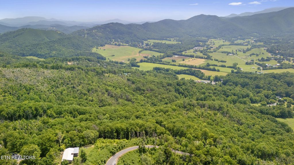 Photo of 911 McGill Rd, Sevierville, TN 37862 (MLS # 1314287)