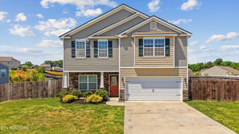 Photo of 241 Gail Lane, Lenoir City, TN 37772 (MLS # 1338121)