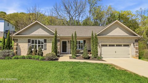 Photo of 7007 Elna Marie Drive, Knoxville, TN 37924 (MLS # 1336535)