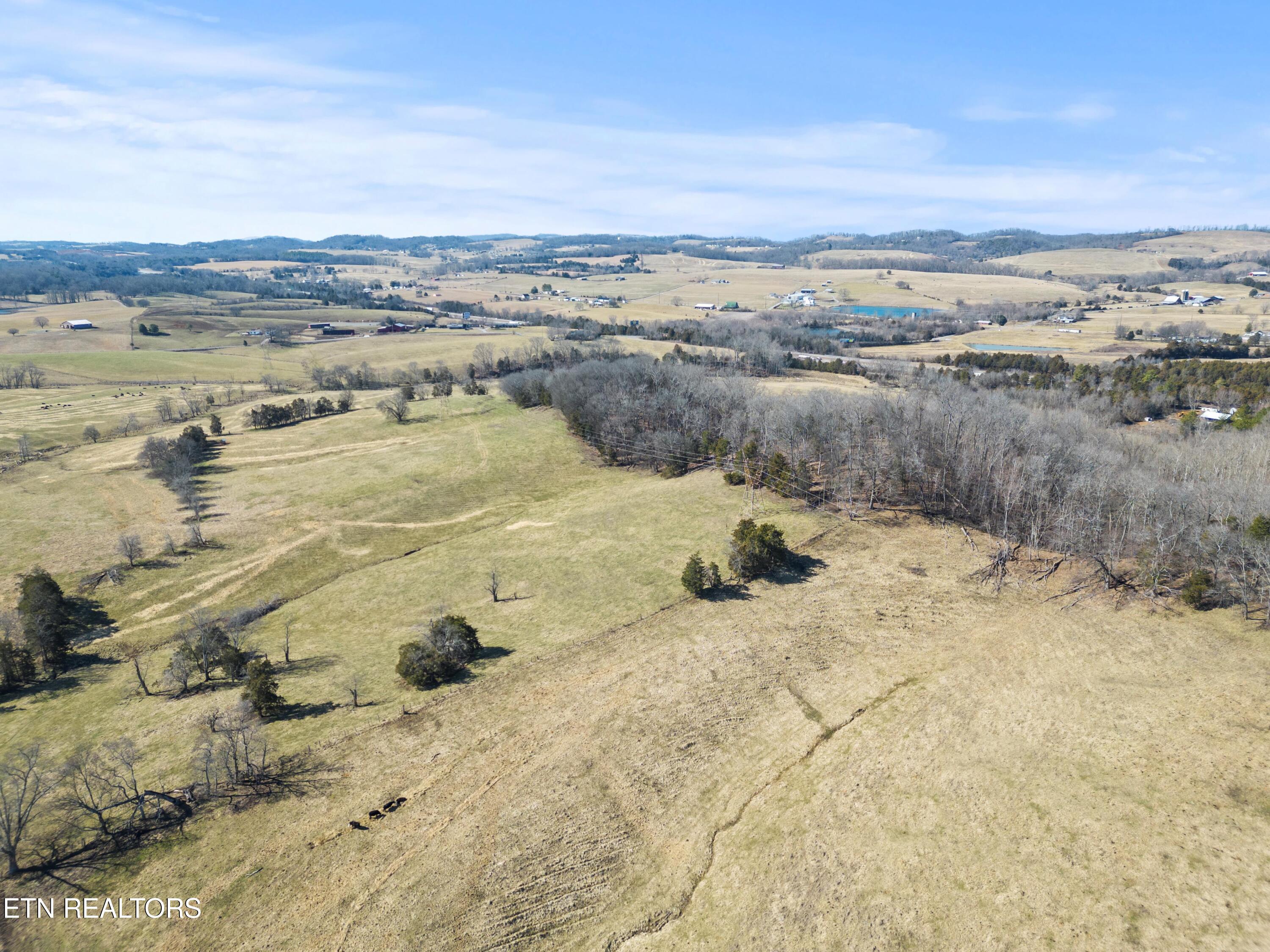 Spring Creek Rd