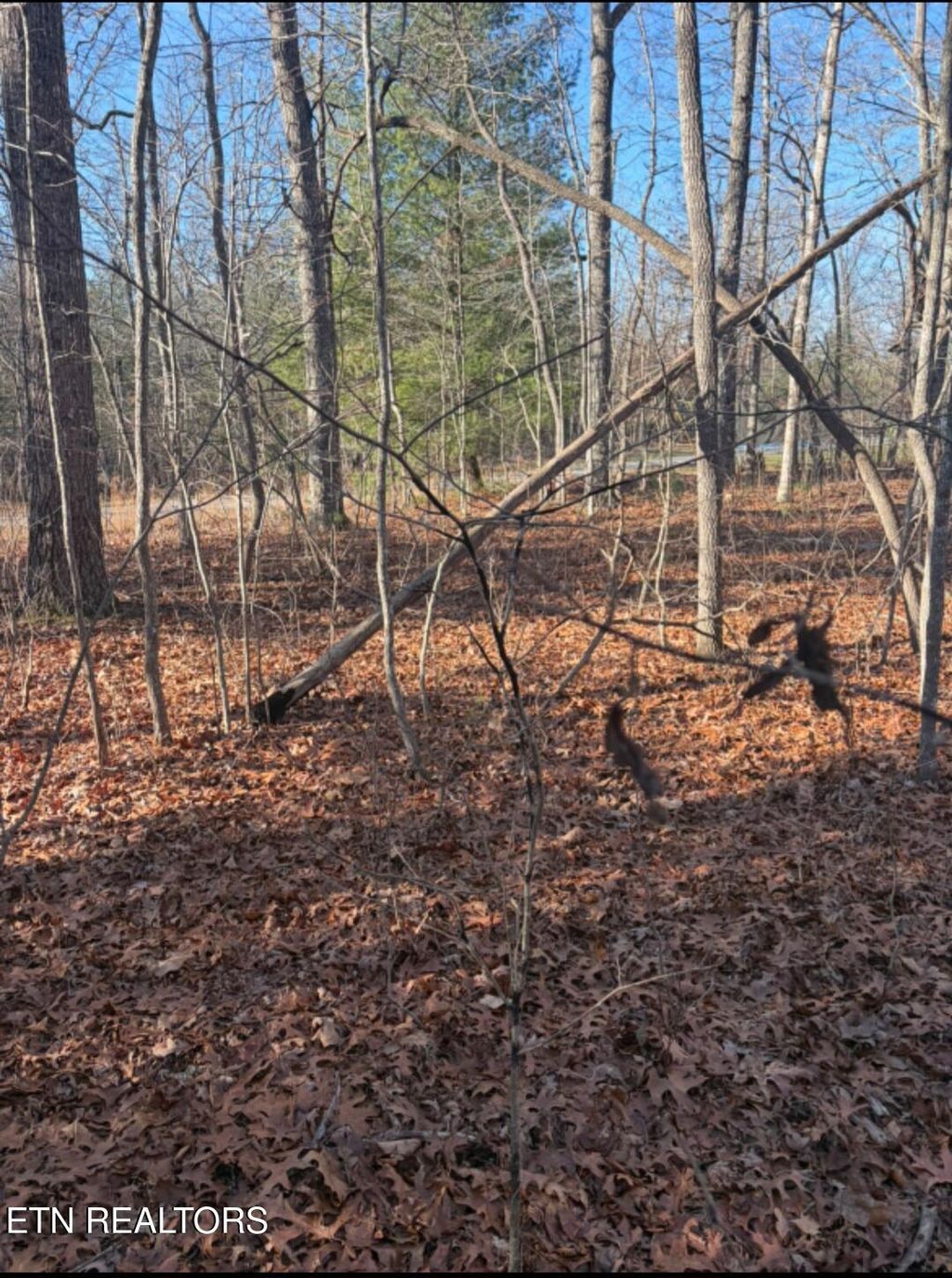 Photo of 402 Acoma Drive, Crossville, TN 38572 (MLS # 1327352)