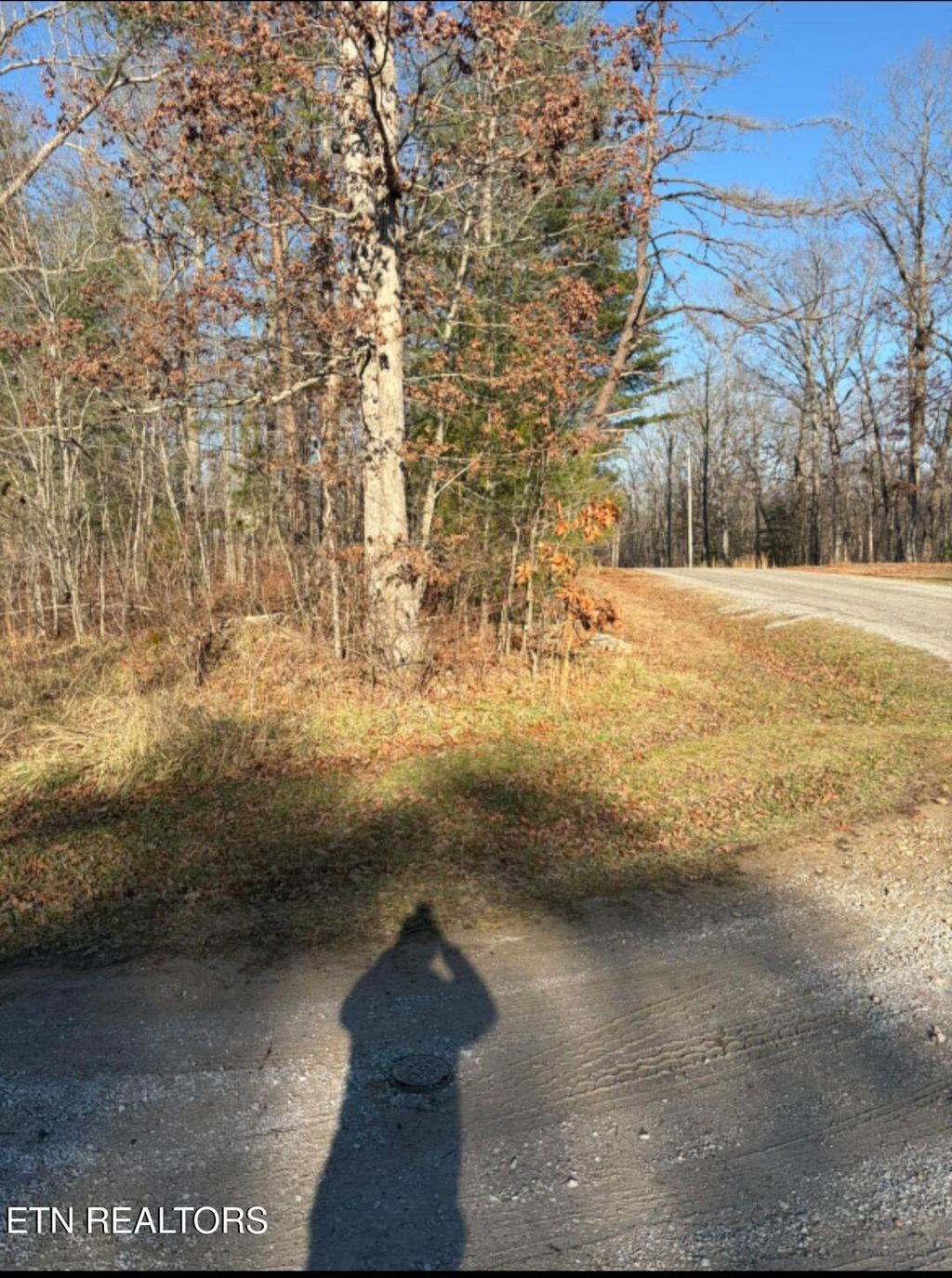 Photo of 402 Acoma Drive, Crossville, TN 38572 (MLS # 1327352)