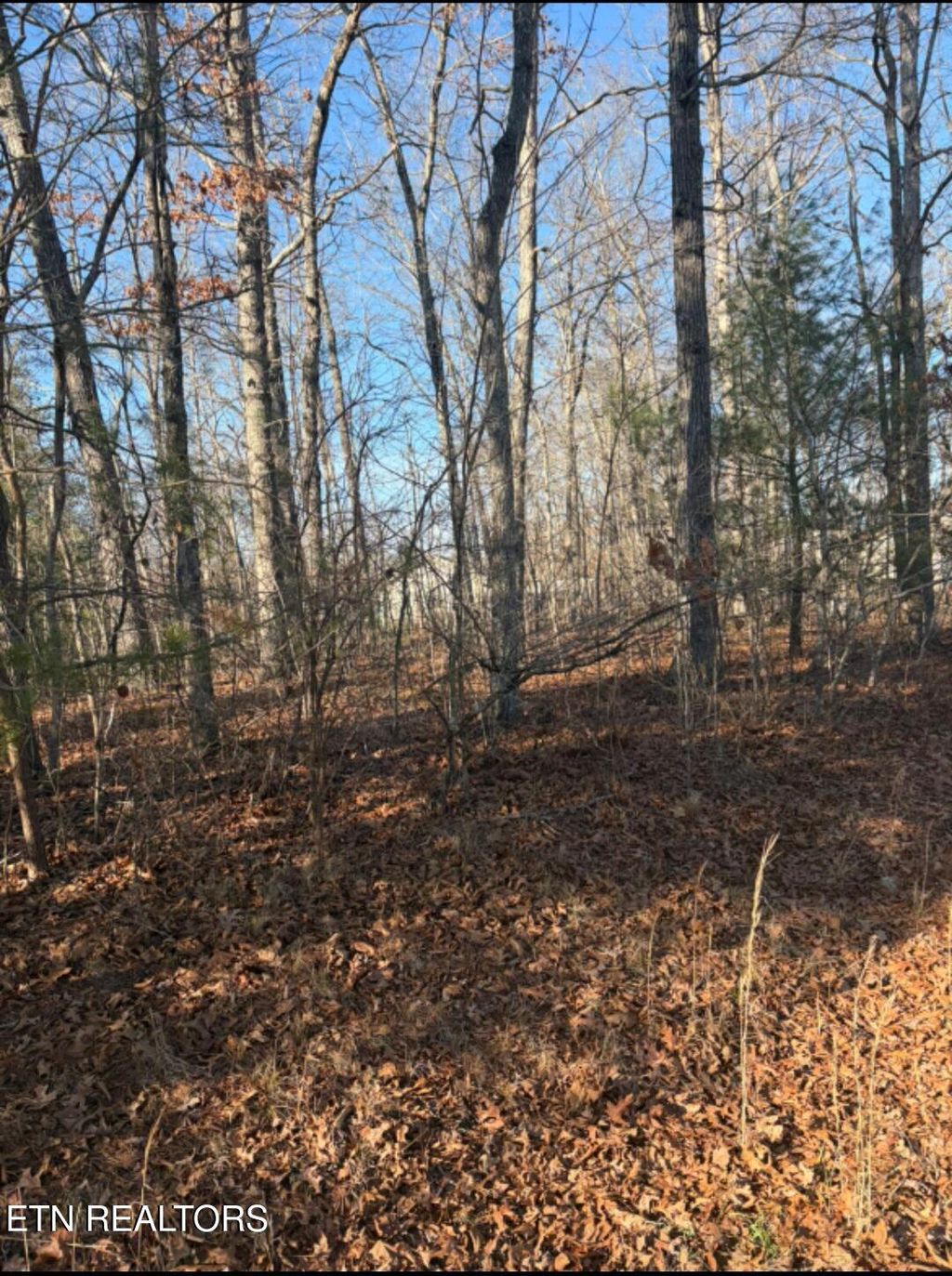 Photo of 402 Acoma Drive, Crossville, TN 38572 (MLS # 1327352)