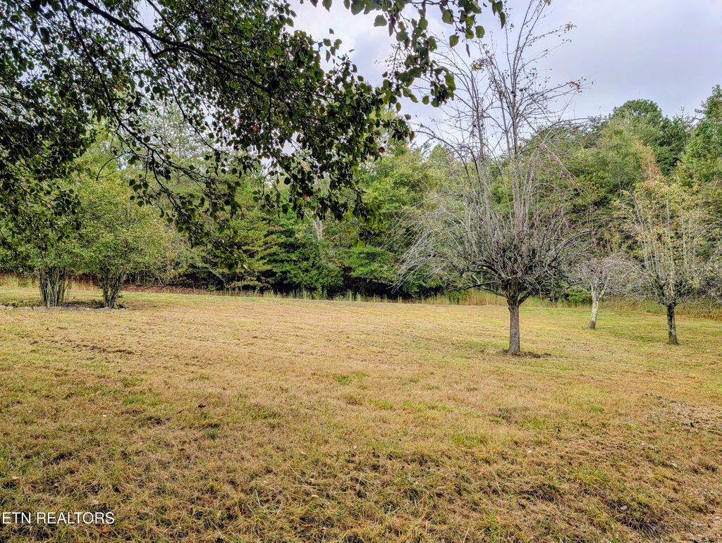 Photo of 181 Sunshine Lane, Spring City, TN 37381 (MLS # 1317958)