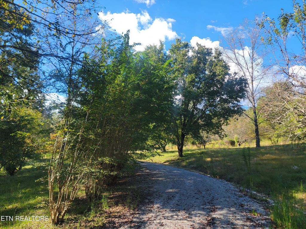 Photo of 181 Sunshine Lane, Spring City, TN 37381 (MLS # 1317958)