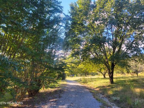 Photo of 181 Sunshine Lane, Spring City, TN 37381 (MLS # 1317958)
