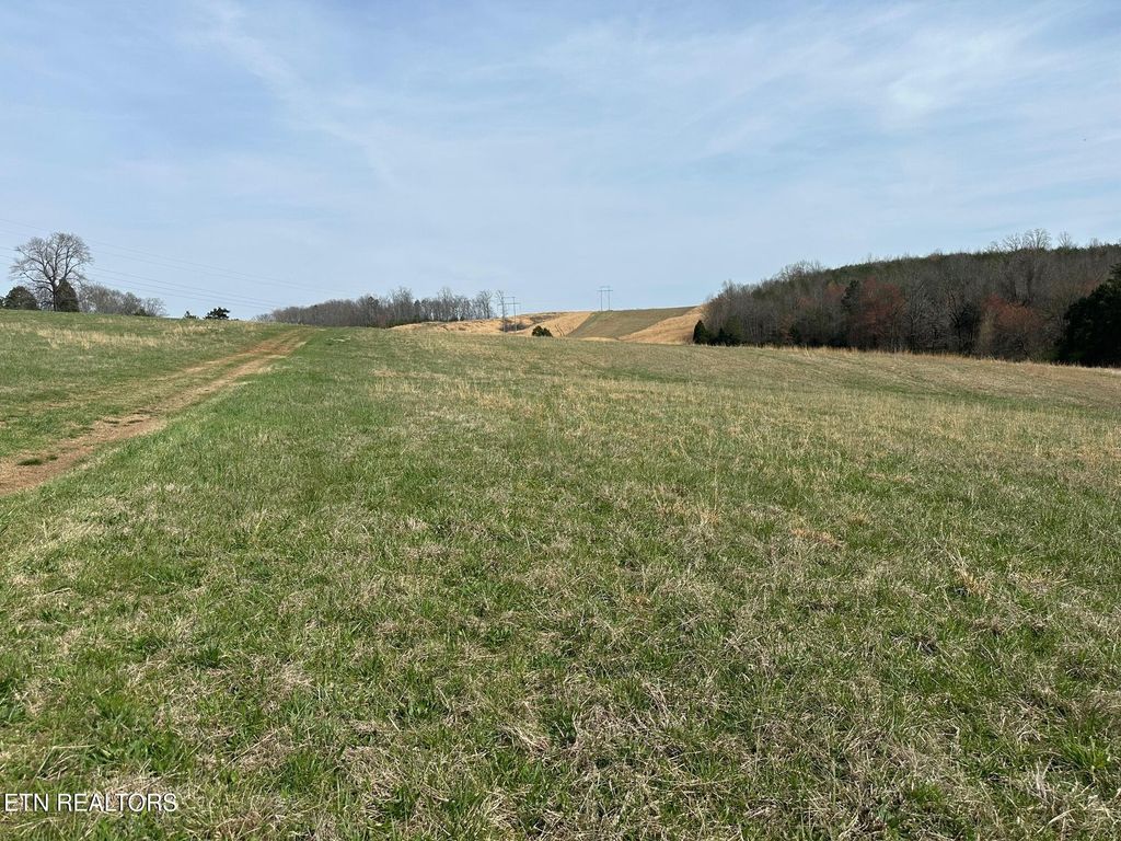 Photo of 90 Old Rhea Spring Rd, Spring City, TN 37381 (MLS # 1332903)