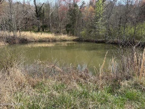 Tiny photo for 90 Old Rhea Spring Rd, Spring City, TN 37381 (MLS # 1332903)