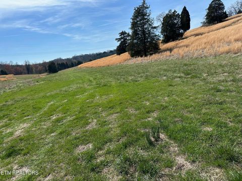 Tiny photo for 90 Old Rhea Spring Rd, Spring City, TN 37381 (MLS # 1332903)