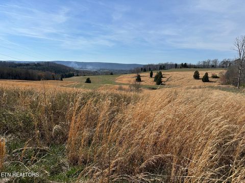 Tiny photo for 90 Old Rhea Spring Rd, Spring City, TN 37381 (MLS # 1332903)