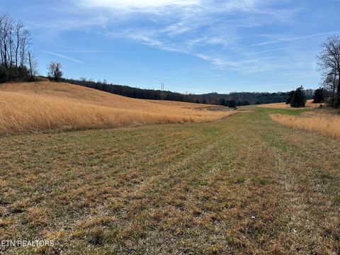 Tiny photo for 90 Old Rhea Spring Rd, Spring City, TN 37381 (MLS # 1332903)