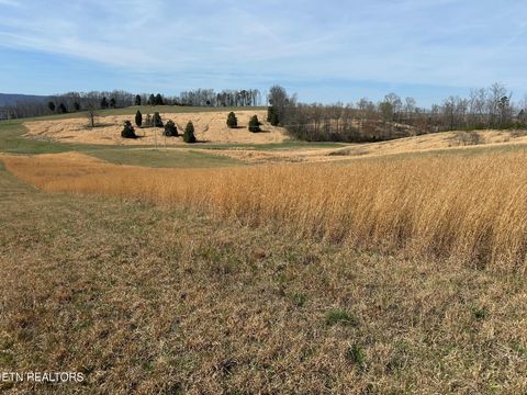 Tiny photo for 90 Old Rhea Spring Rd, Spring City, TN 37381 (MLS # 1332903)