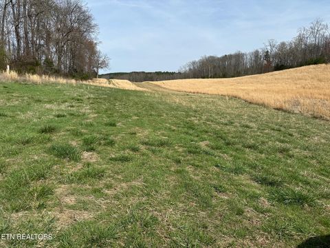 Tiny photo for 90 Old Rhea Spring Rd, Spring City, TN 37381 (MLS # 1332903)