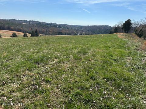 Tiny photo for 90 Old Rhea Spring Rd, Spring City, TN 37381 (MLS # 1332903)