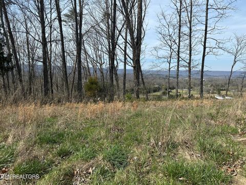 Tiny photo for 90 Old Rhea Spring Rd, Spring City, TN 37381 (MLS # 1332903)