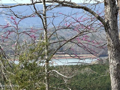 Tiny photo for 90 Old Rhea Spring Rd, Spring City, TN 37381 (MLS # 1332903)