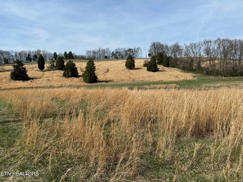 Tiny photo for 90 Old Rhea Spring Rd, Spring City, TN 37381 (MLS # 1332903)