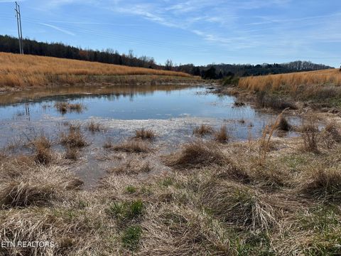 Tiny photo for 90 Old Rhea Spring Rd, Spring City, TN 37381 (MLS # 1332903)