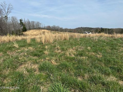 Tiny photo for 90 Old Rhea Spring Rd, Spring City, TN 37381 (MLS # 1332903)